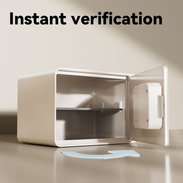 vs4529 wh fingerprint safe supplier